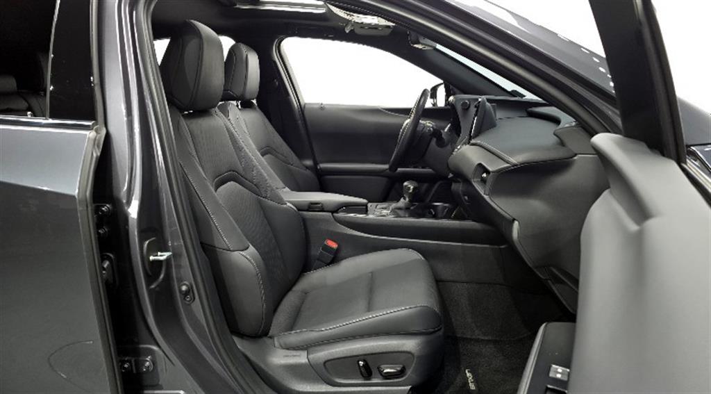 Lexus UX - Vista 10