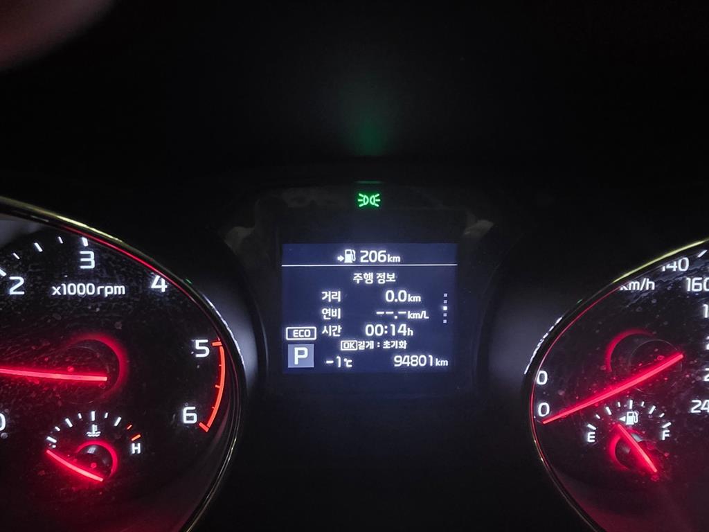 KIA Carnival - Vista 12