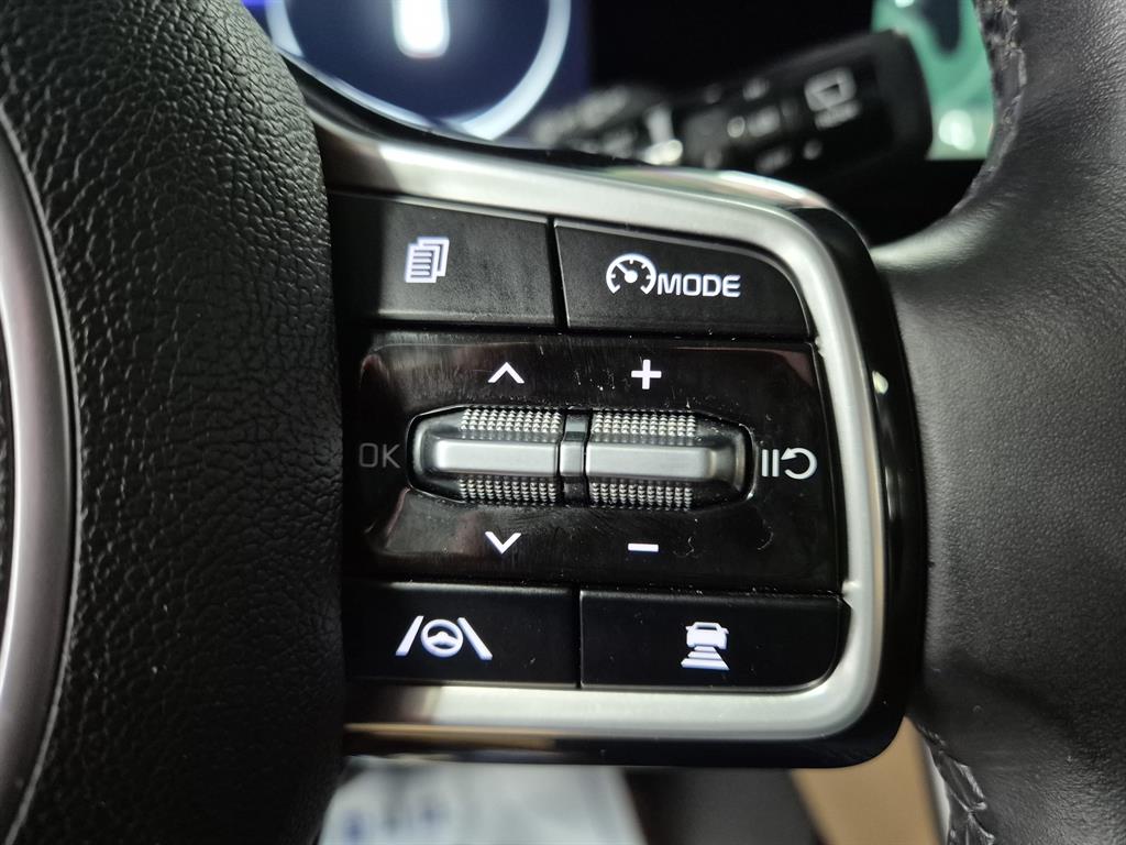 KIA Carnival - Vista 9