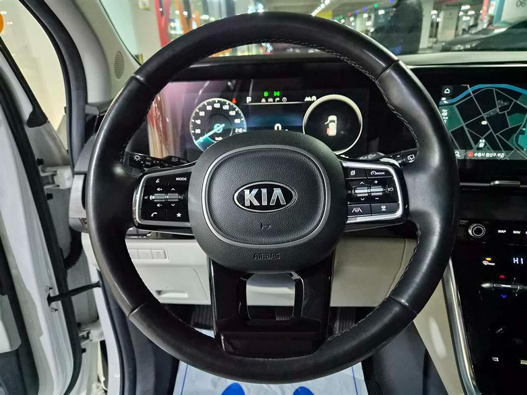 KIA Carnival - Vista 9