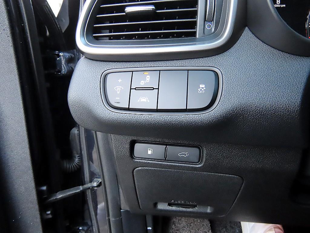 KIA Sorento - Vista 12