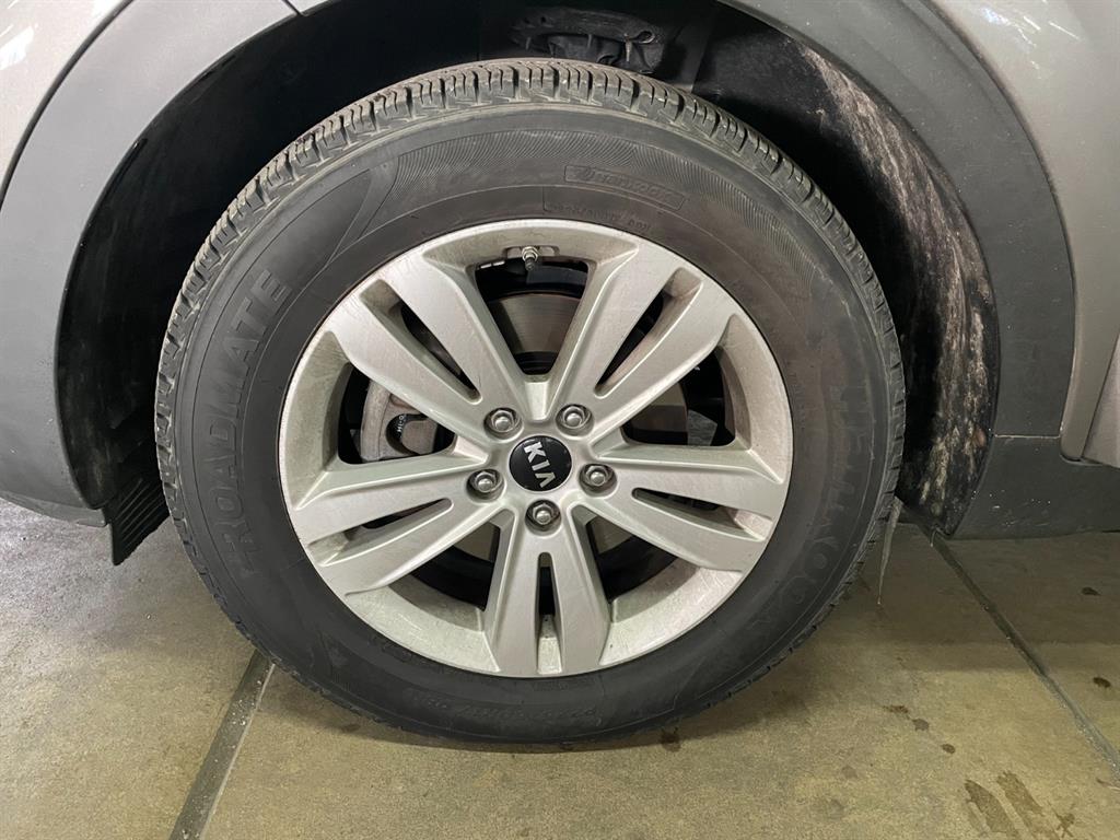 KIA Sportage - Vista 6