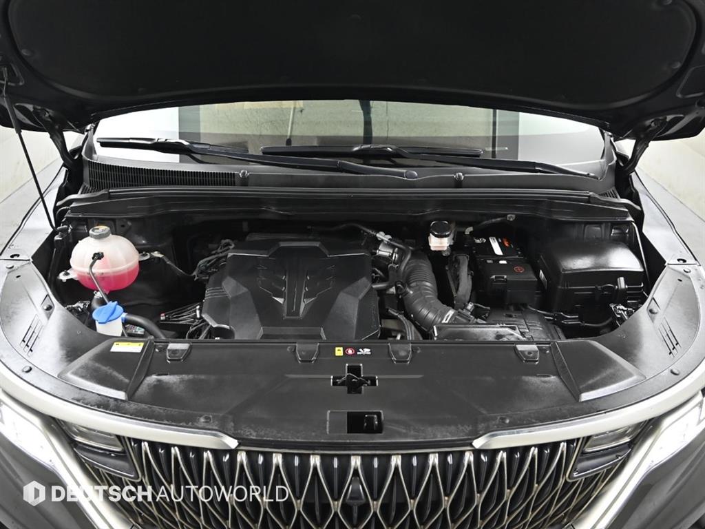 KIA Carnival - Vista 6