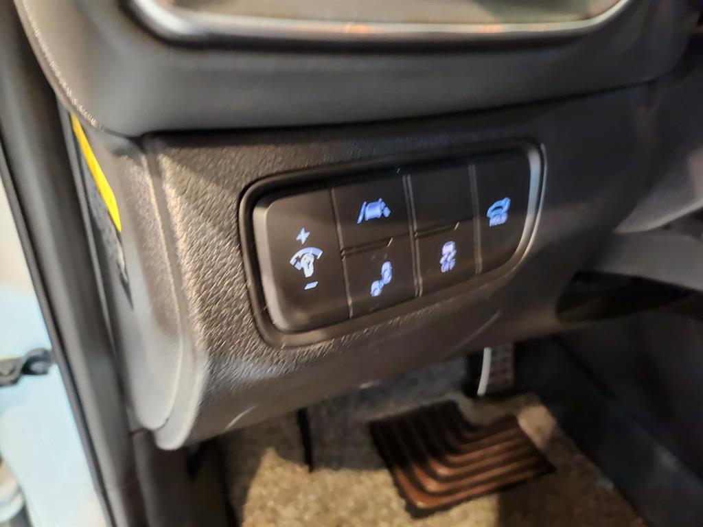 HYUNDAI Santa Fe - Vista 12