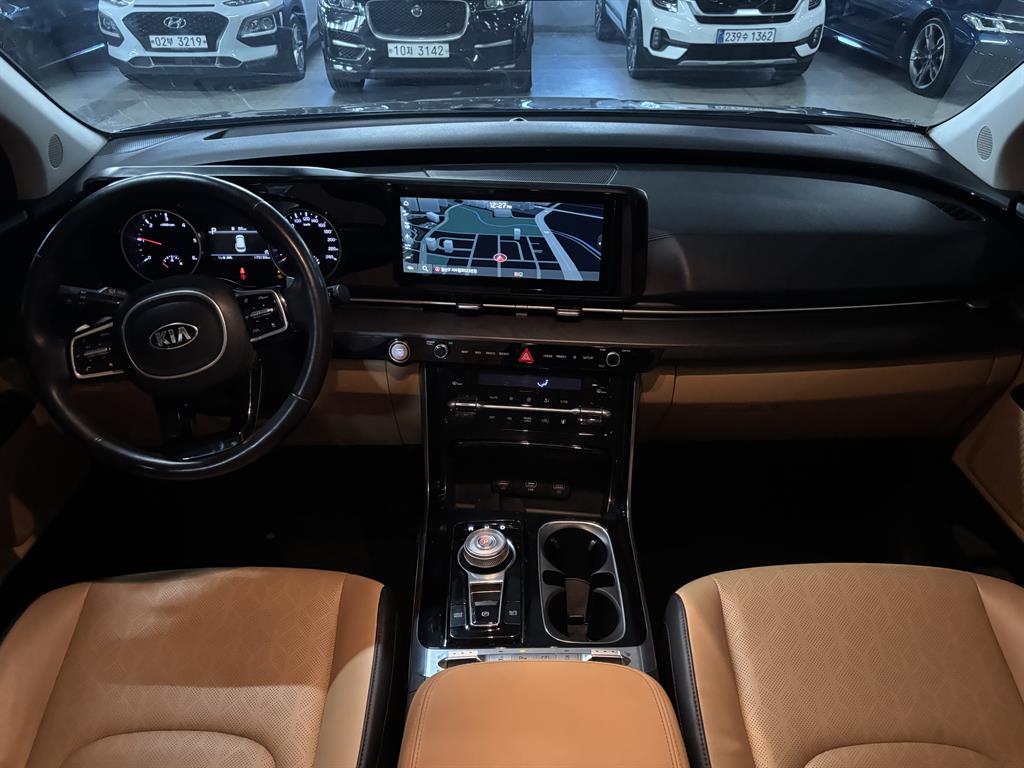 KIA Carnival - Vista 8