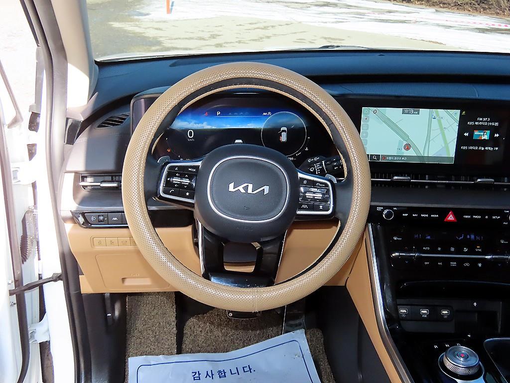 KIA Carnival - Vista 8