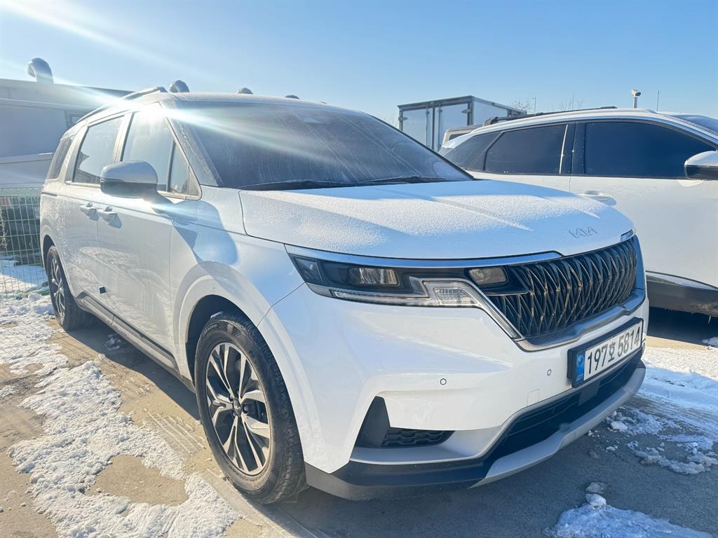 KIA Carnival - Vista 2