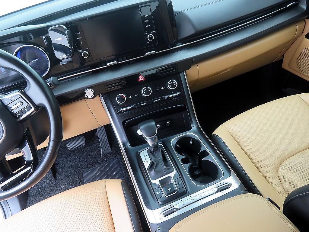 KIA Carnival - Vista 12