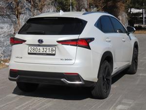Lexus NX - Vista 6