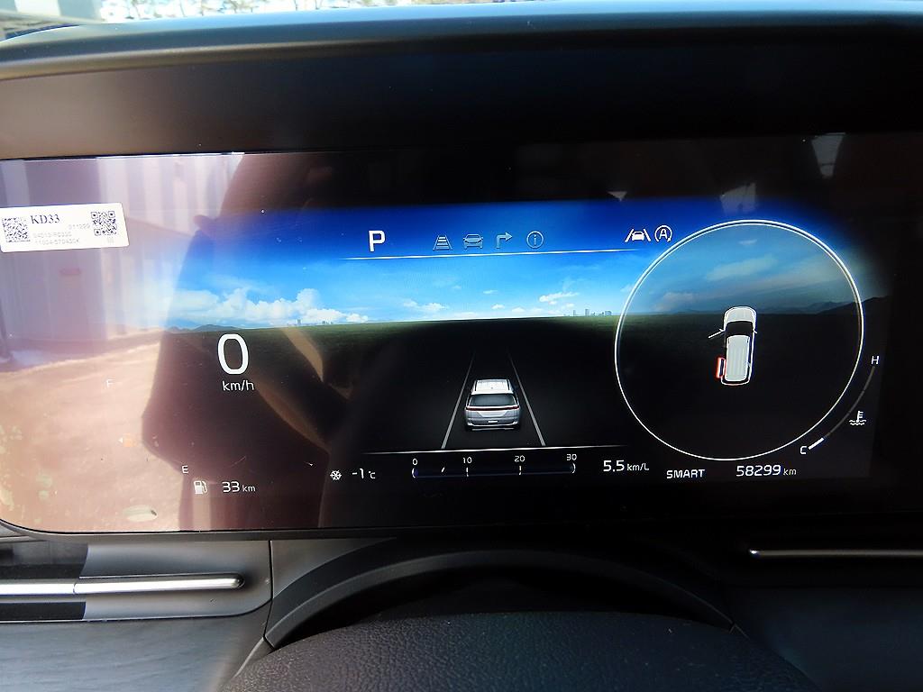 KIA Carnival - Vista 9