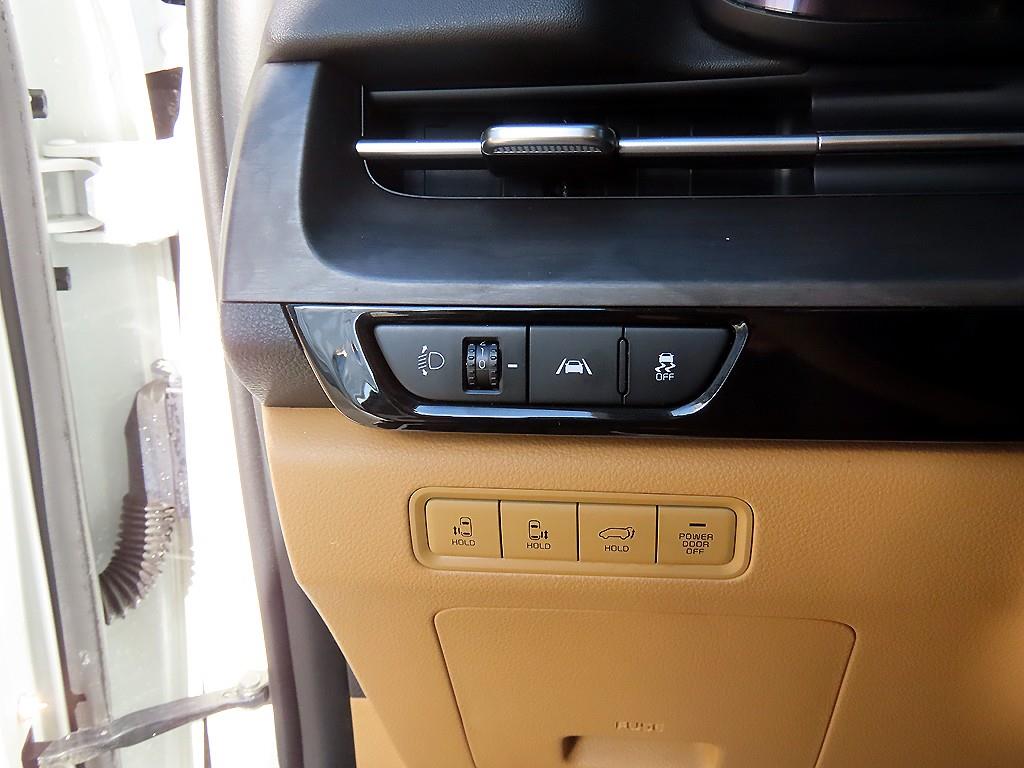 KIA Carnival - Vista 11