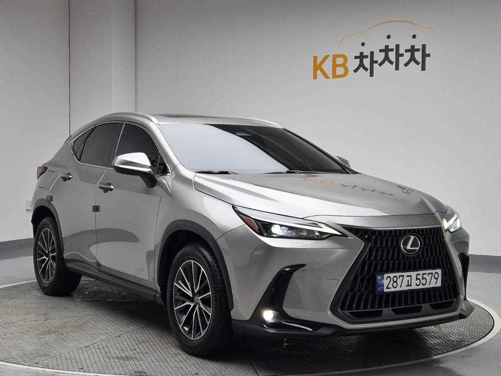 Lexus NX - Vista 4