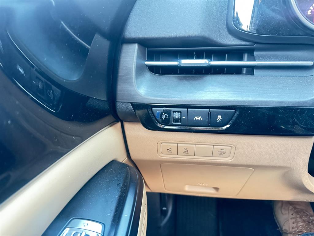 KIA Carnival - Vista 6