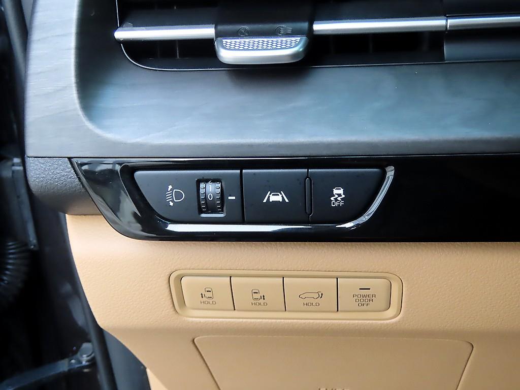 KIA Carnival - Vista 12