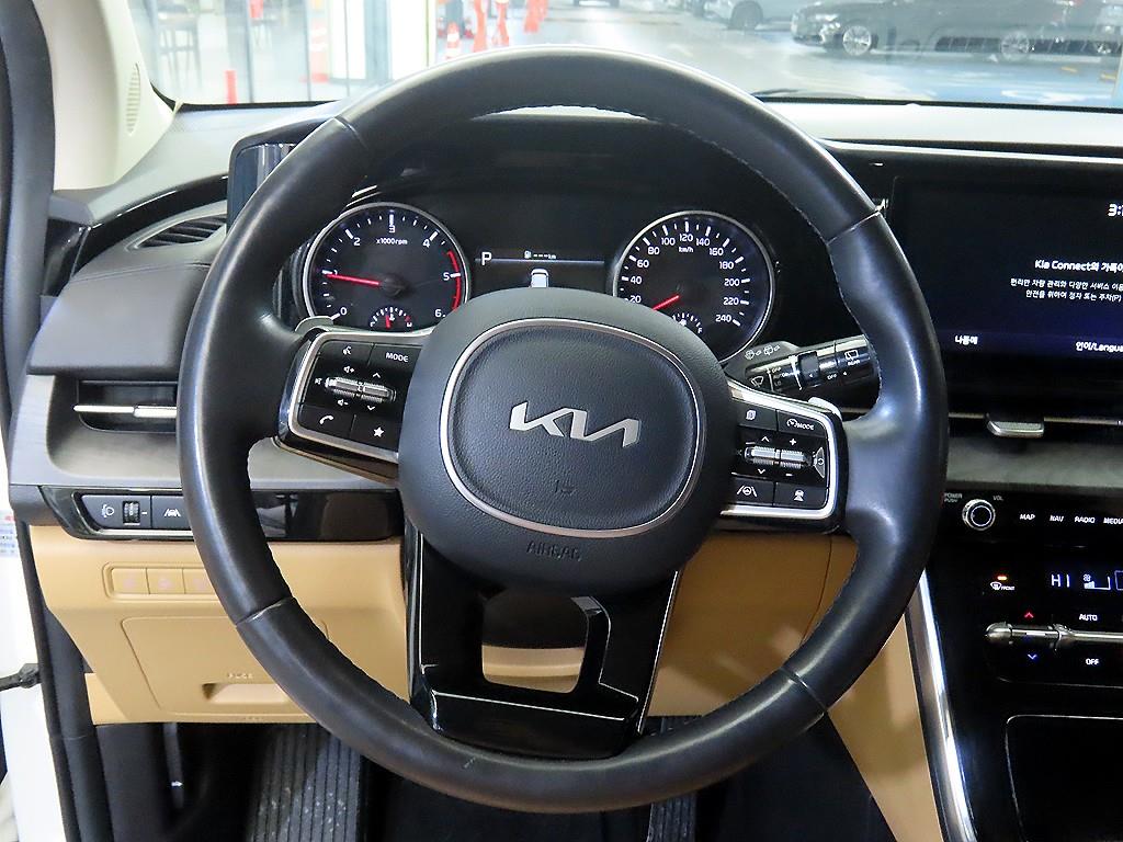 KIA Carnival - Vista 8
