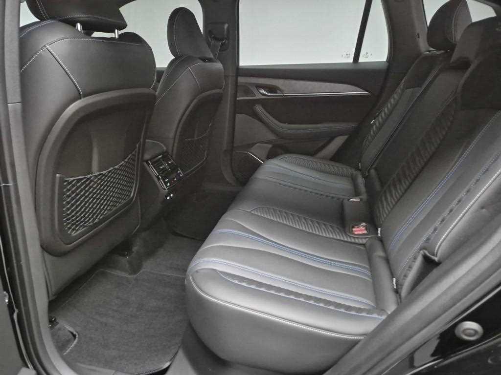 SAMSUNG Grand Koleos - Vista 12