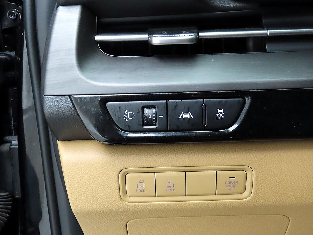 KIA Carnival - Vista 12