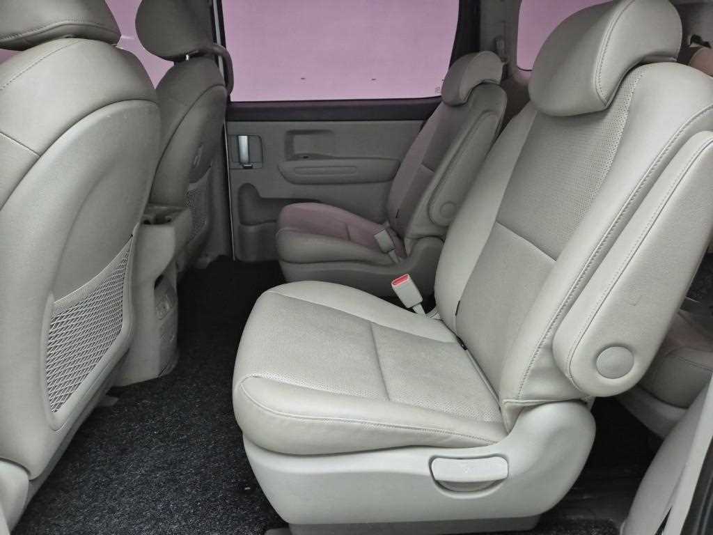 KIA Carnival - Vista 12