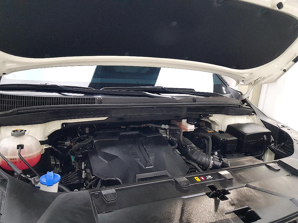 KIA Carnival - Vista 6