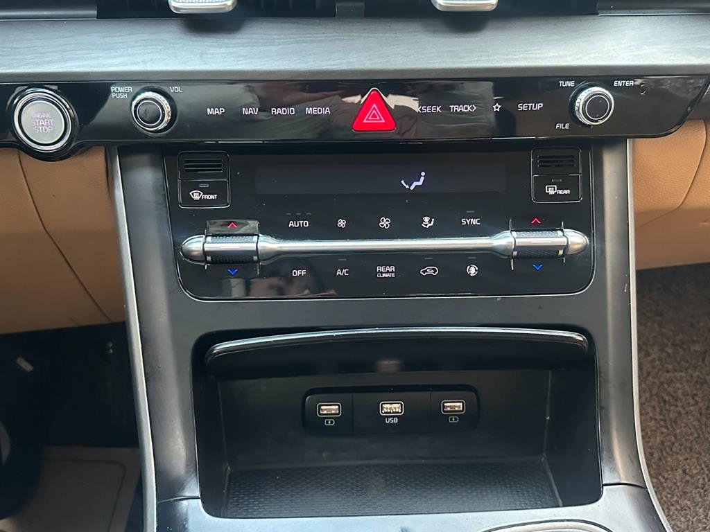 KIA Carnival - Vista 12