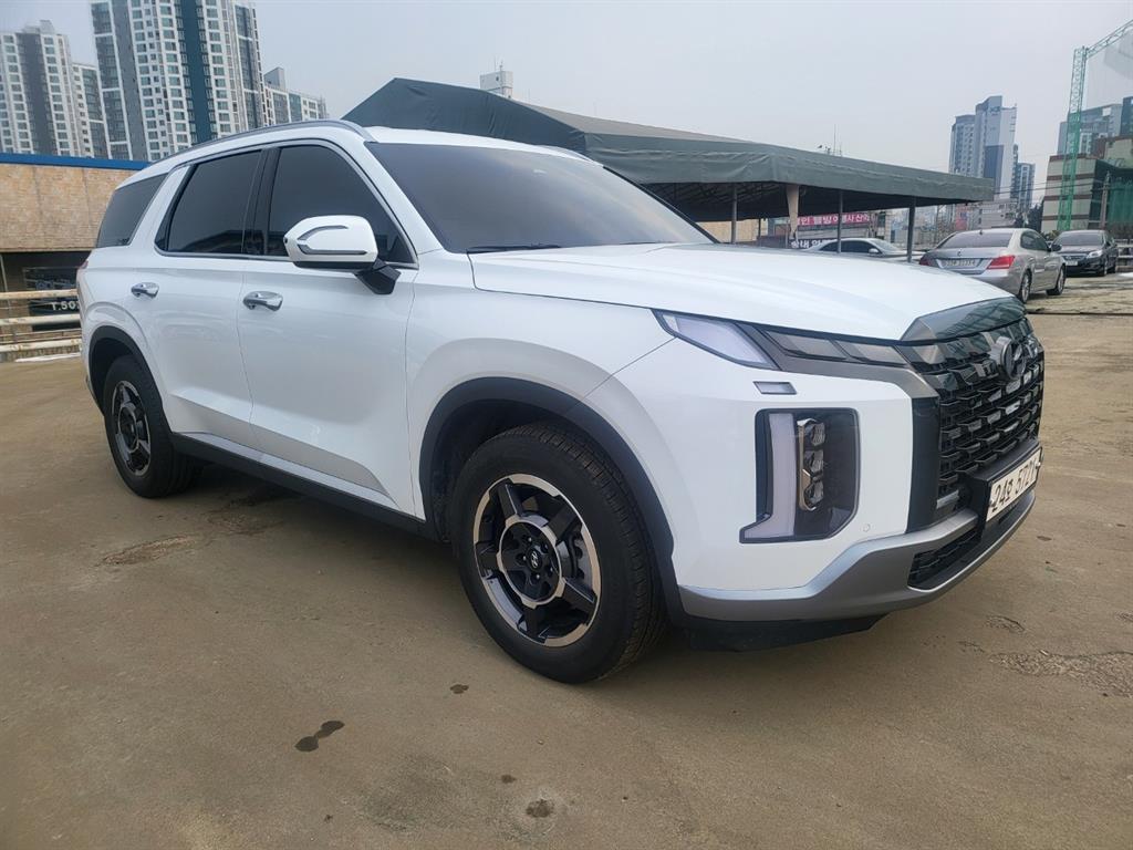 HYUNDAI Palisade - Vista 3