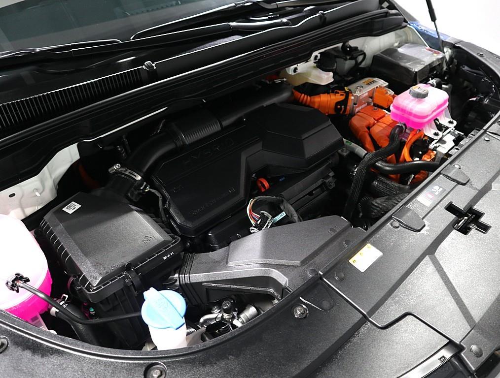 KIA Carnival - Vista 6