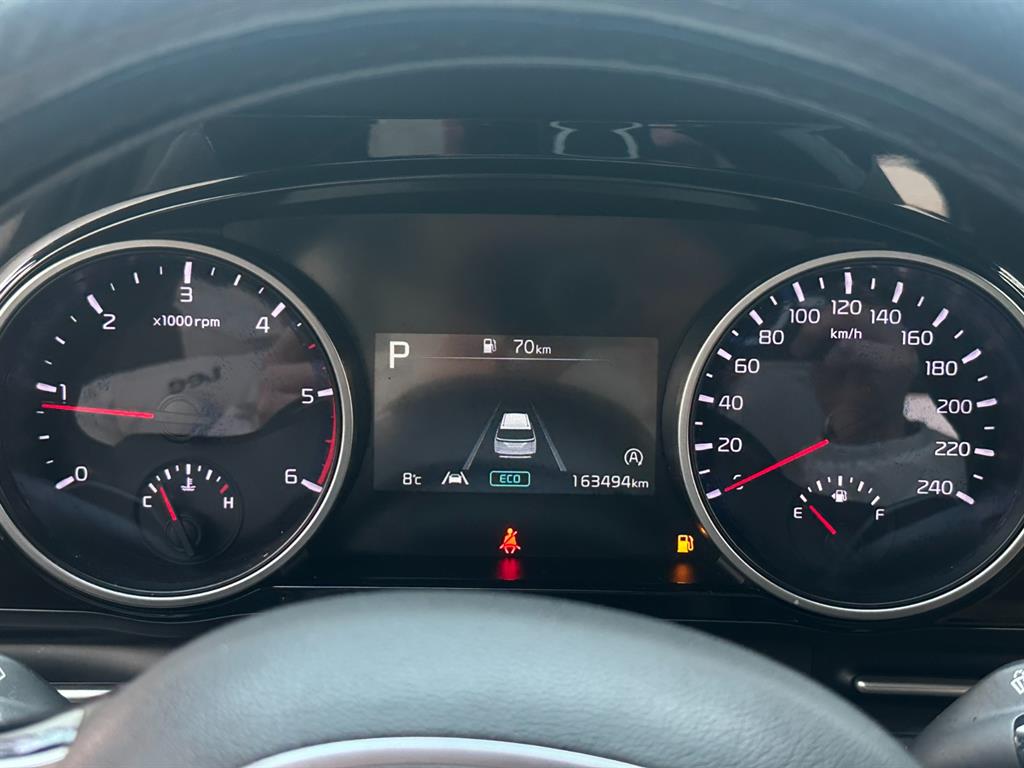 KIA Carnival - Vista 7