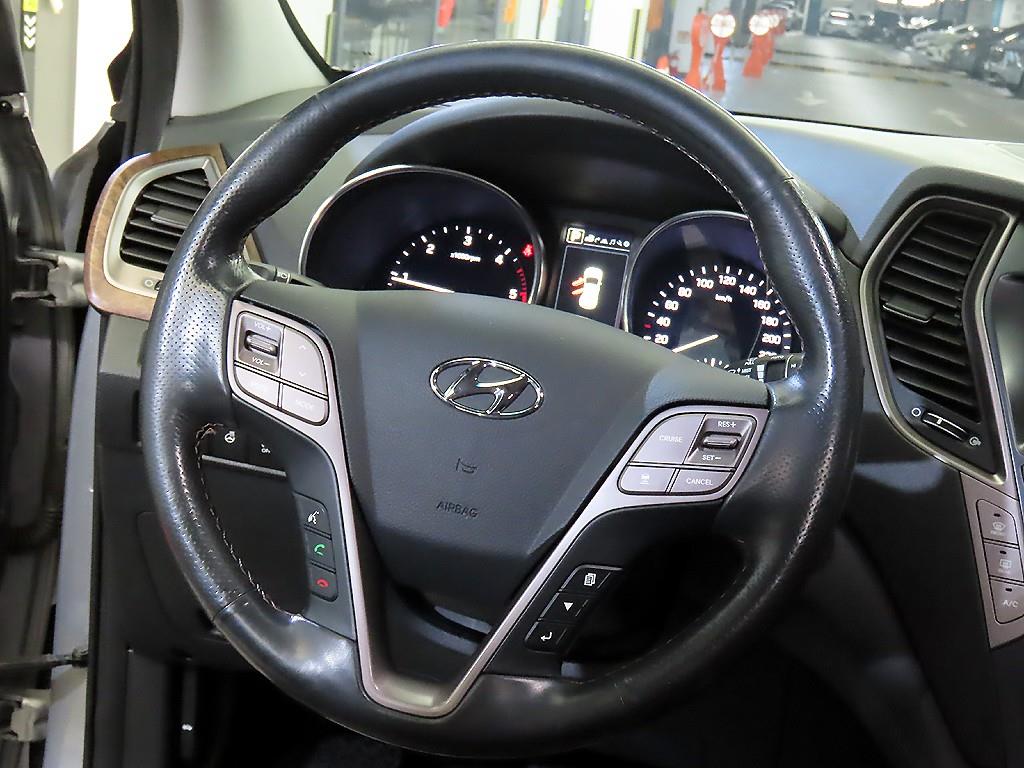 HYUNDAI Maxcruz - Vista 8