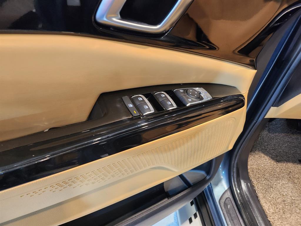 KIA Carnival - Vista 12