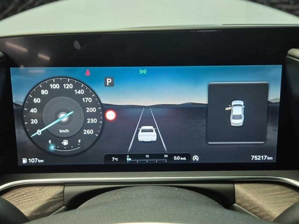 Genesis G90 - Vista 6