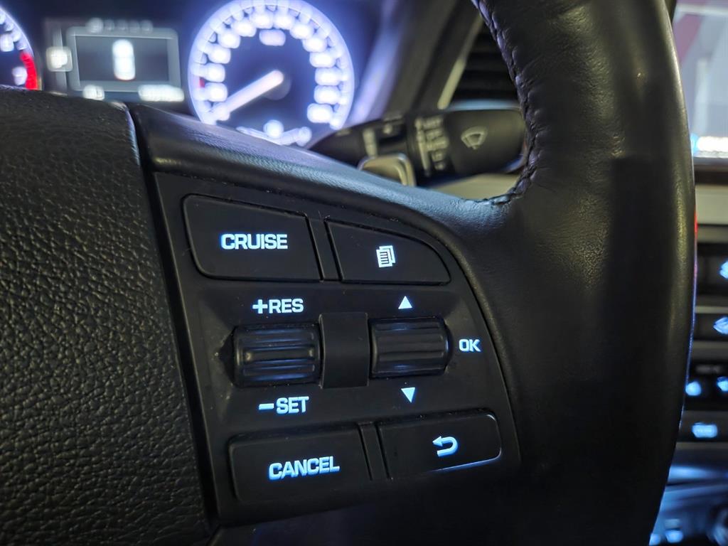 HYUNDAI Genesis - Vista 6