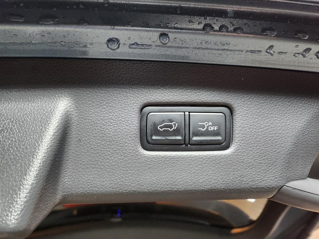 KIA Carnival - Vista 6