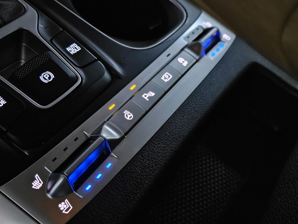 KIA Carnival - Vista 10