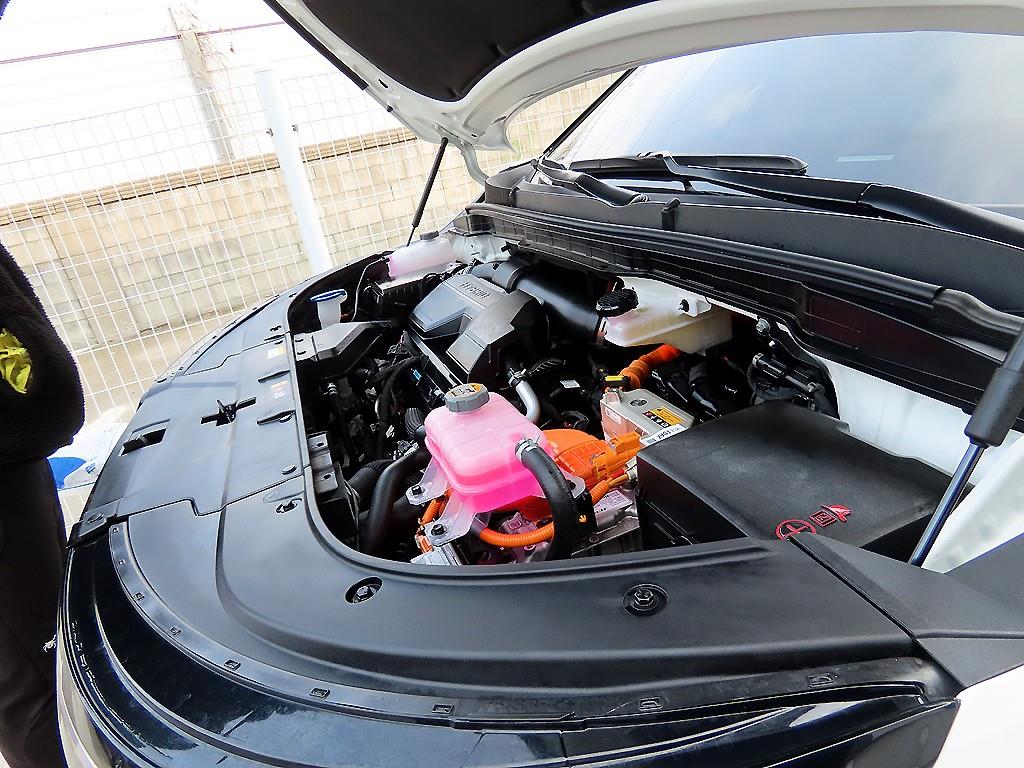 KIA Carnival 2025 Blanco - Importación desde Corea - HF Imports Iquique - Foto 19