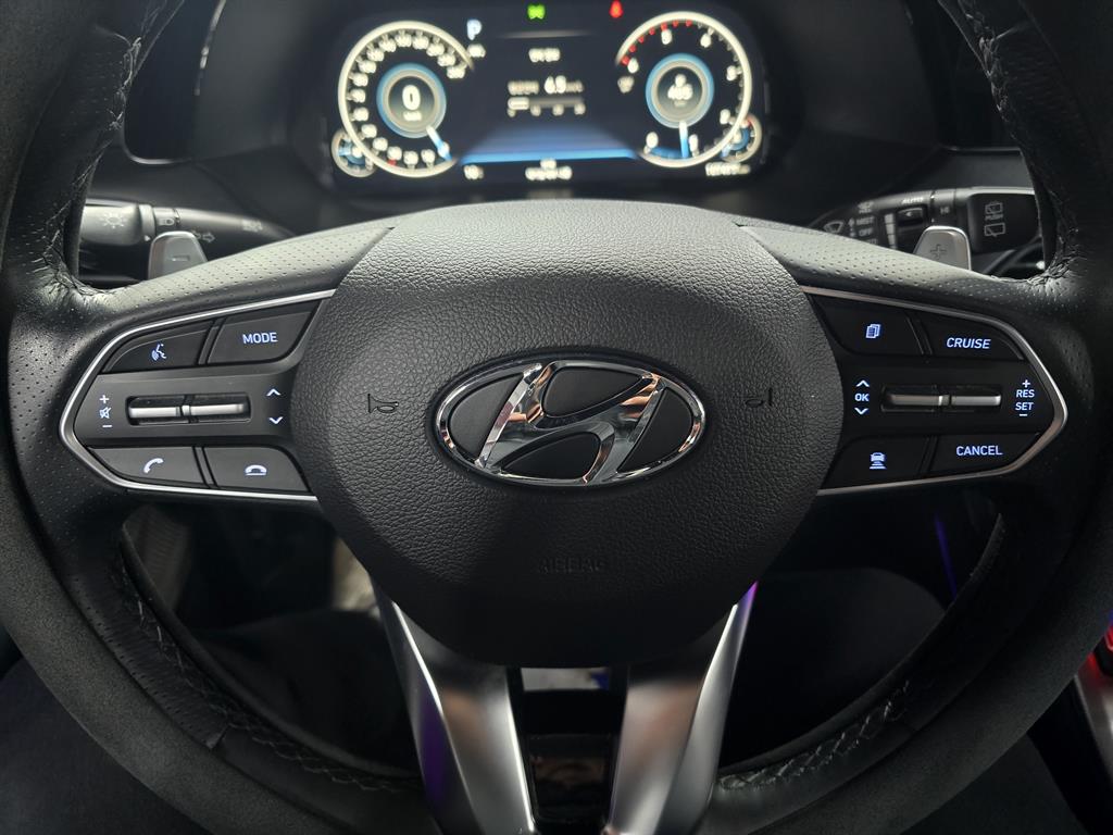 HYUNDAI Palisade - Vista 12