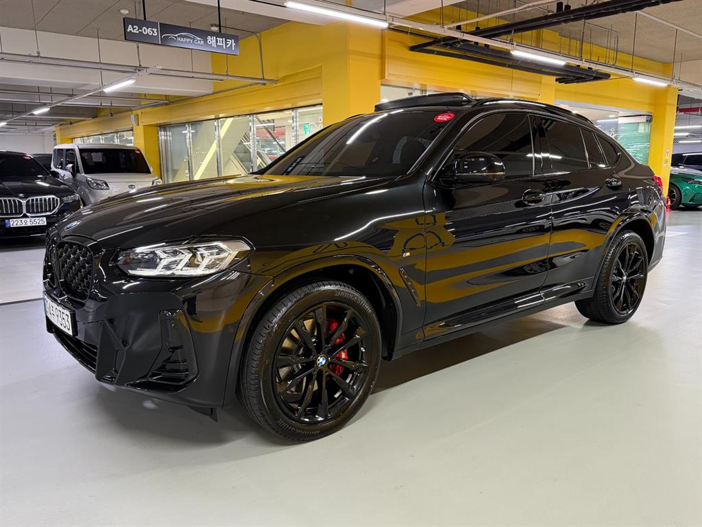 BMW X4 - Vista 2