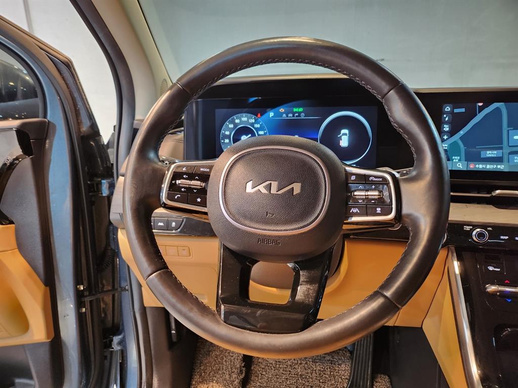 KIA Carnival - Vista 8