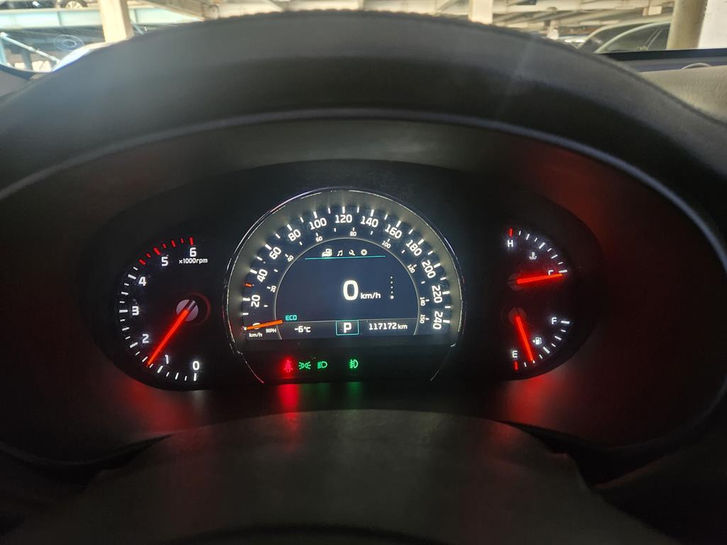 KIA Carnival - Vista 8