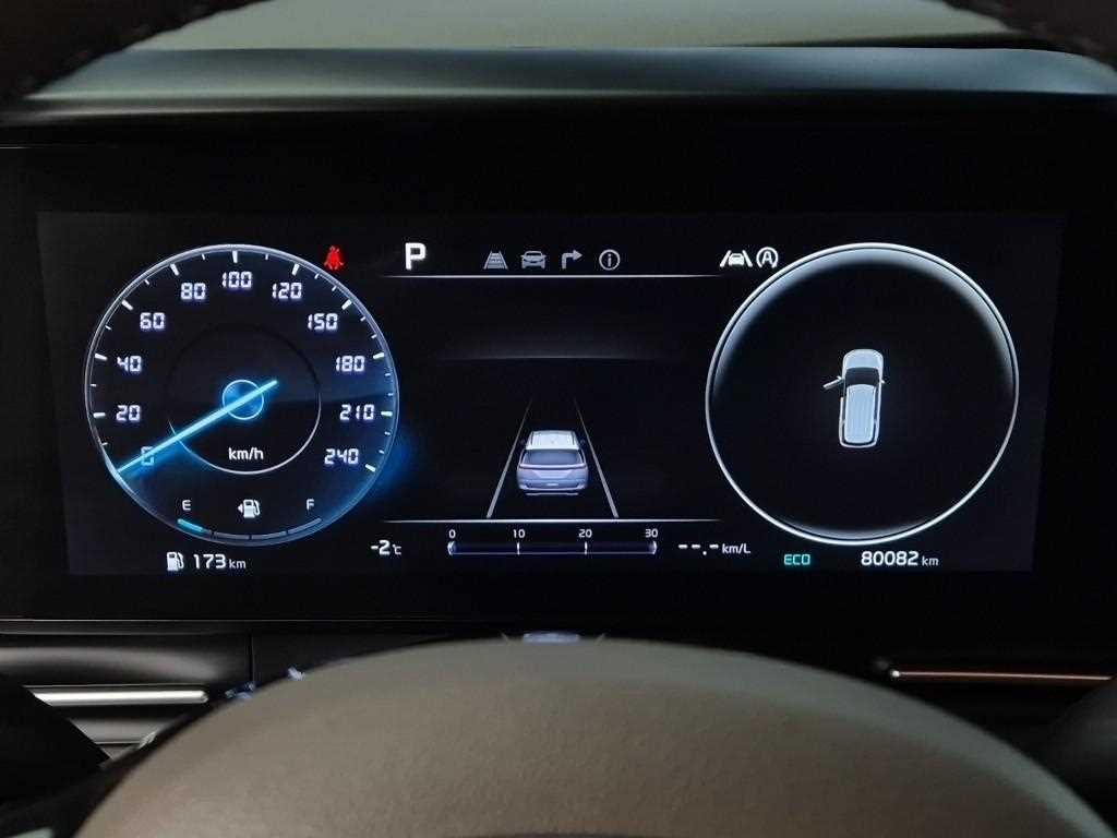 KIA Carnival - Vista 6