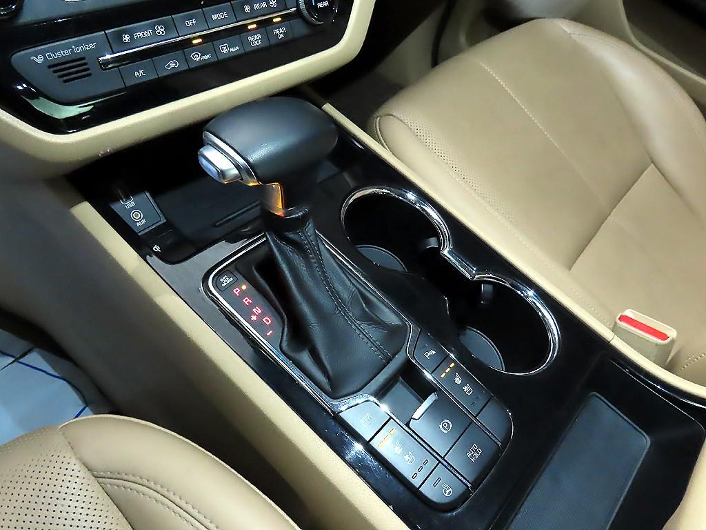 KIA Carnival - Vista 12