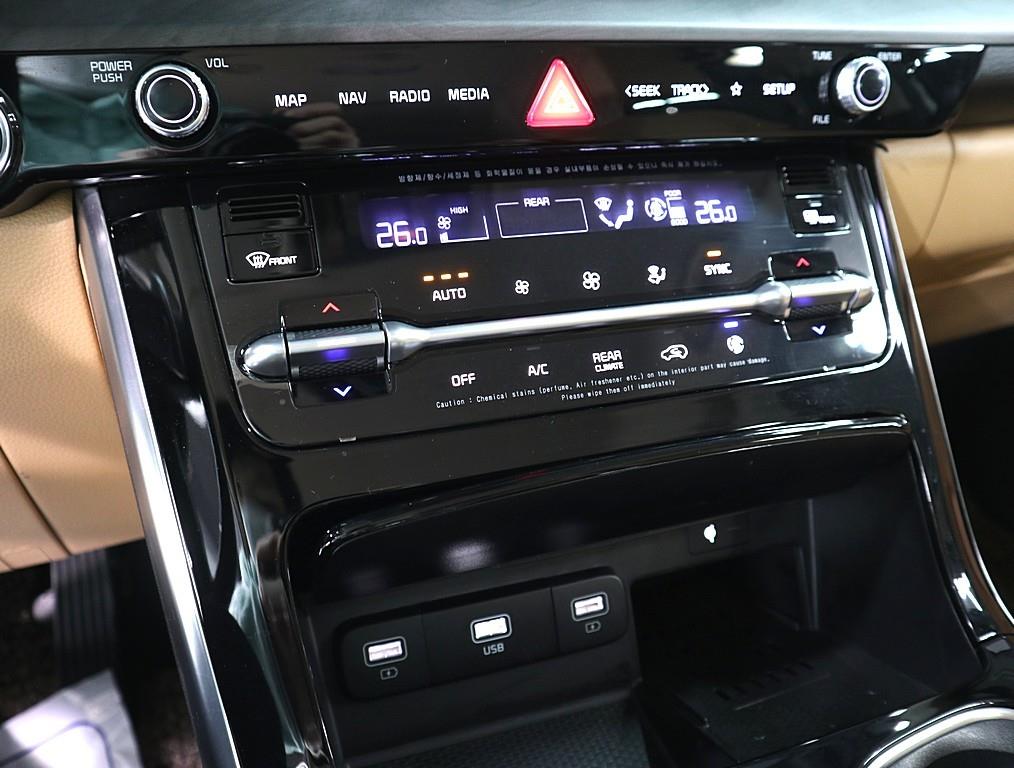 KIA Carnival - Vista 12