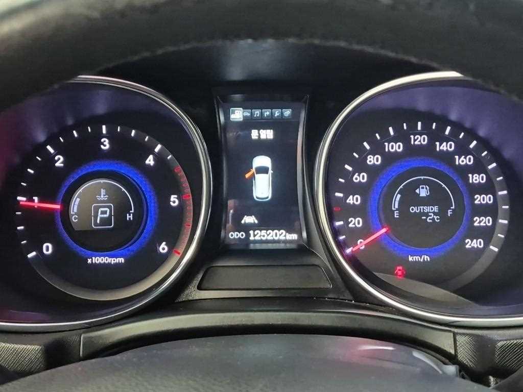 HYUNDAI Maxcruz - Vista 6