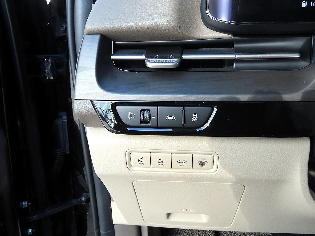 KIA Carnival - Vista 12