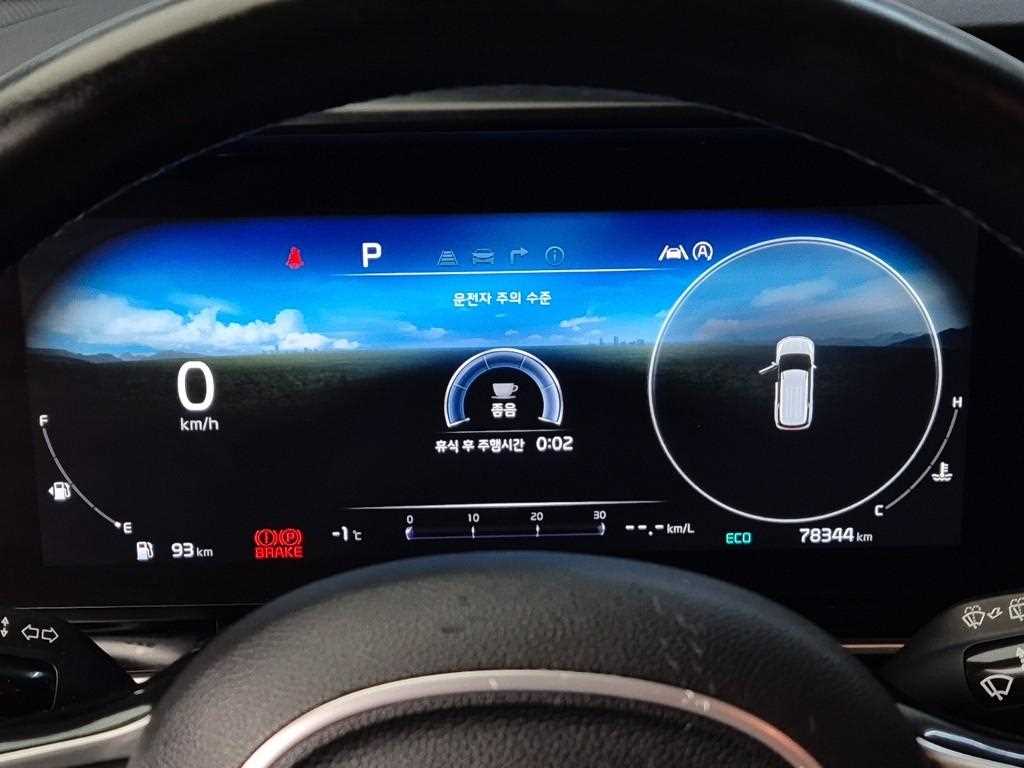 KIA Carnival - Vista 6