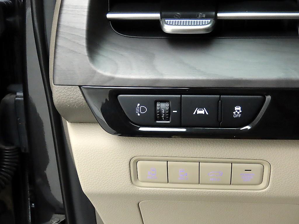 KIA Carnival - Vista 12