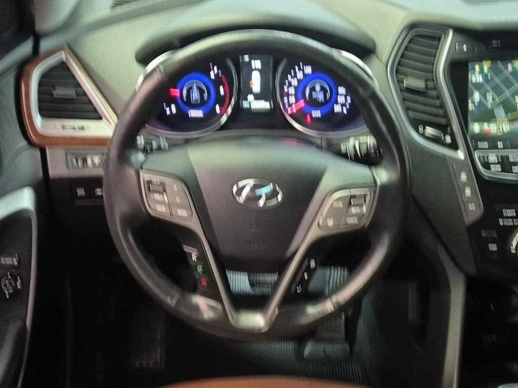 HYUNDAI Maxcruz - Vista 9