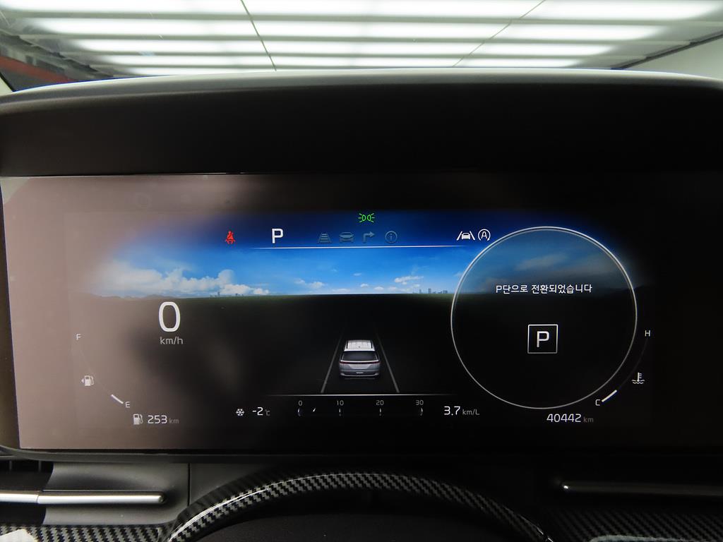 KIA Carnival - Vista 9