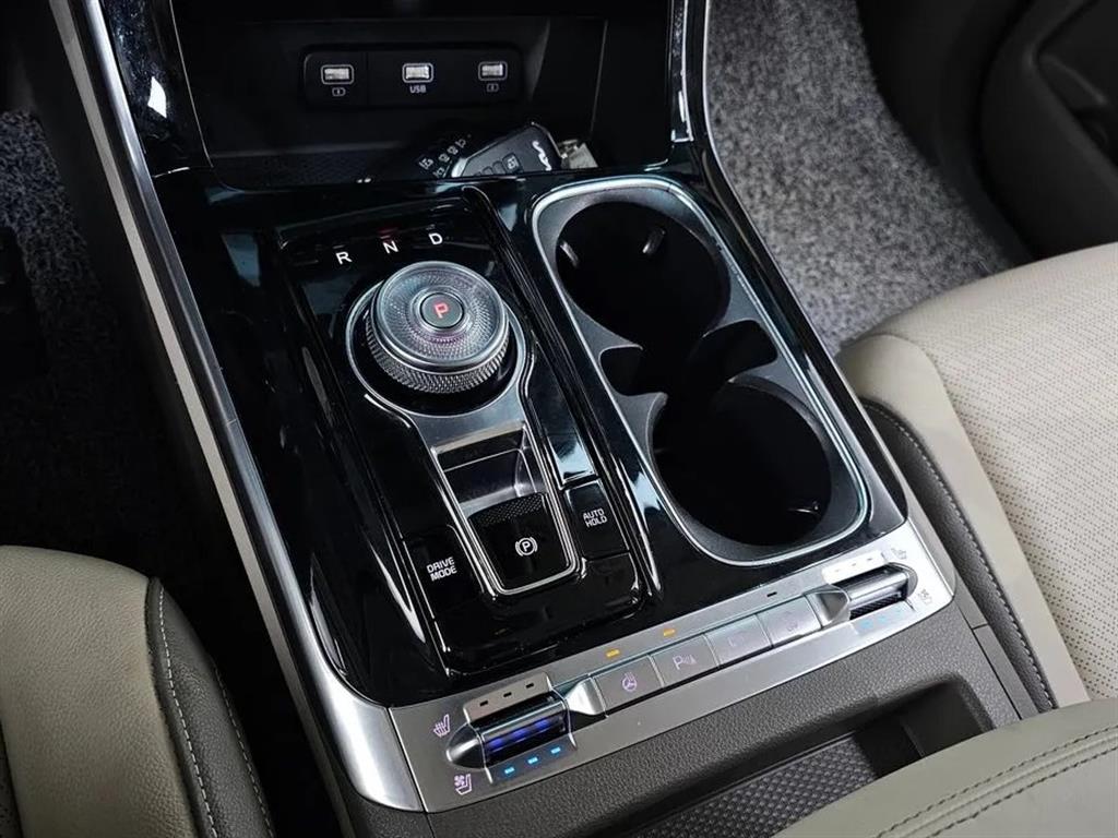 KIA Carnival - Vista 9