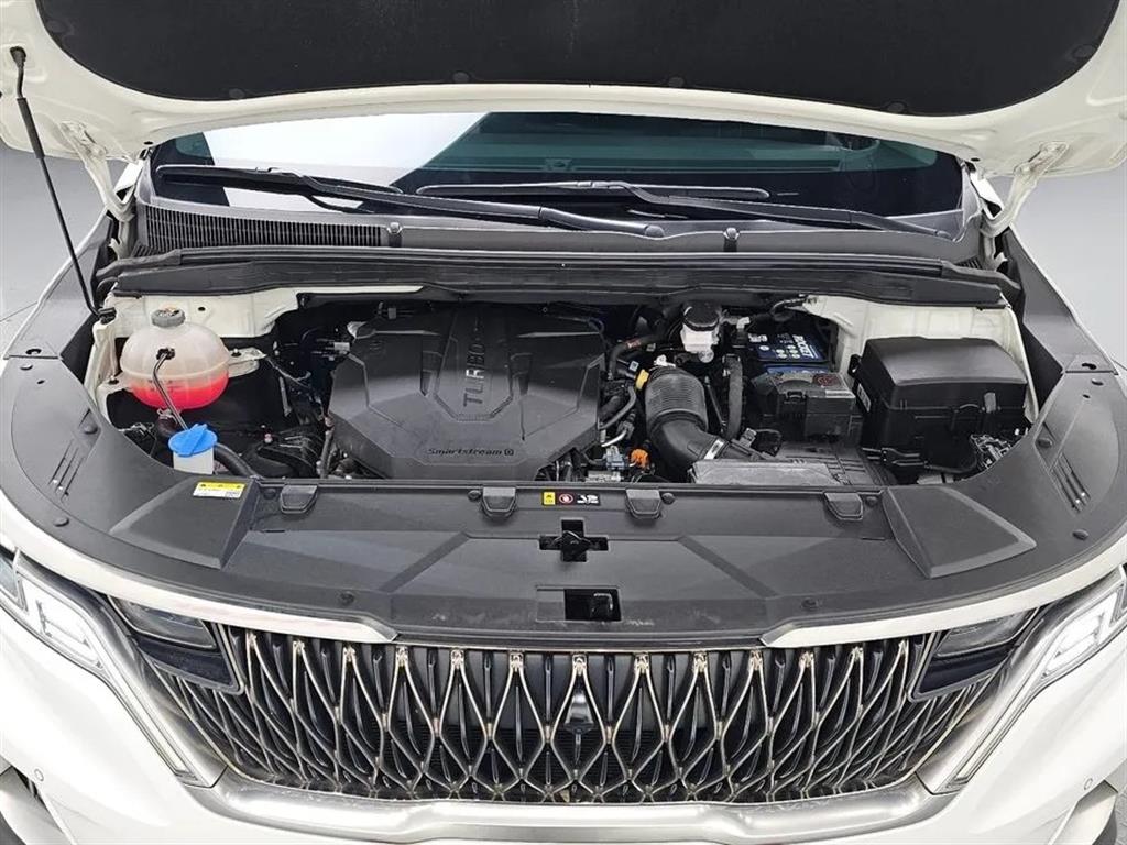 KIA Carnival - Vista 6