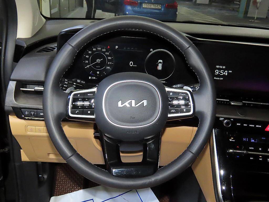 KIA Carnival - Vista 8